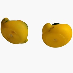 Mini Rubber Ducky Hipster Couple Pair Duckies Lot 2