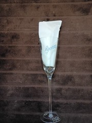 Bride and Groom Wedding Champagne/Wine Toasting Glasses Set