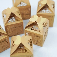 GOLD 25 Lacer Cut Lace Design FAVOR BOXES with Butterfly Top Party Decorations