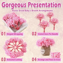 9000+ Bloom Pink Dried Babys Breath Flowers 150 Stems – Bulk Gypsophila