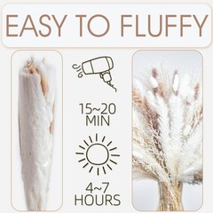 440PCS Natural Dried Pampas Grass Boho Home Decor Bouquet Phragmites Dried Fl…