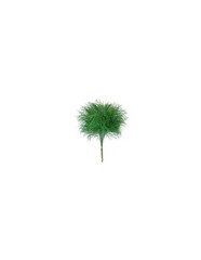 Wholesale Tree Fern Bunches | Premium Florida Greenery 100 Stems