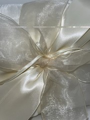 90s Beverly Clark Ivory Pearl and Lace Wedding Guest Book, Pillow and Pen