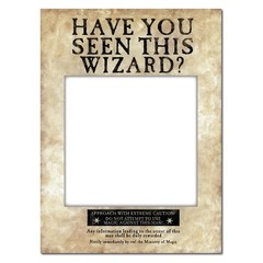 Conquest Journals Harry Potter Officially Licensed Have You Seen This Wizard …
