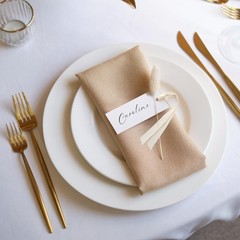100 PCS Name Place Cards Table Setting Satin Ribbon 1.57×3.54 Inch Beige Gift