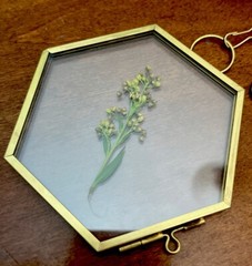 Vintage Hanging Hexagon Pressed Flower Photo Keepsake Frame, 3.5”
