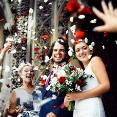 Versatile 1000 Pcs Ivory Silk Rose Petals for Weddings, Showers & Celebrations