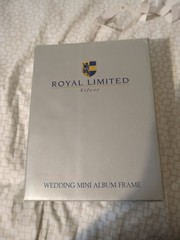 Royal limited silver wedding mini album frame holds 80 4 by 6 photos