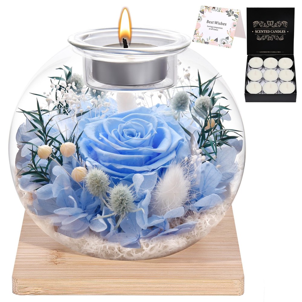 NERCHVO Valentines Birthday Gifts for Women Preserved Roses in Glass Blue
