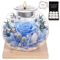 NERCHVO Valentines Birthday Gifts for Women Preserved Roses in Glass Blue