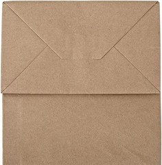 100 Pack 8×4.75×10 inch Plain Medium Paper Brown Kraft Bags with Handles Bulk