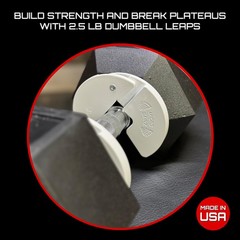 Micro Gainz Gain Muscle 1Lb At A Time Micro Gainz Dumbbell Fractional 1.25Lb