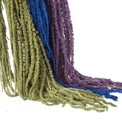 Preserved Amaranthus Premium Natural Dried Flowers Home Wedding Bouquet Decor
