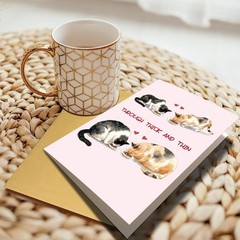 Funny Cat Anniversary Card for Him Her, Hilarious Valentines Day&Wedding Anni…