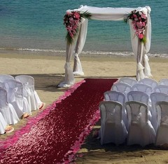 ShinyBeauty Sequin Aisle Runner Rug 4x15FT – Sparkly Burgundy Carpet for Wedd…
