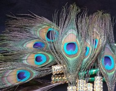 12 Peacock Feather Pen Favors ,Weddings,Sweet16,Quinceañera,Recuerdos/Bautizo