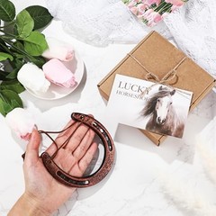 VioraWhite Good Lucky Horseshoe Decor Gift Sets with Card Rope New Home
