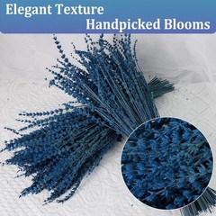 2 Bundles 350 Stems Dried Blue Lavender Flowers, 17″ Dried Lavender