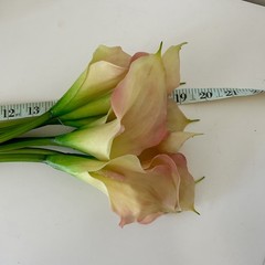 EUC REAL TOUCH CREAM/PINK CALLA LILY FLOWER – 8 STEMS 19” Tall