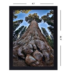 5×7 Picture Frame Black Photo Frames Display with 4×6 Mat for Wall and Tablet…