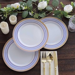10 WHITE 9″ Round Plastic Salad PLATES NAVY BLUE Chord Rim Party Decorations