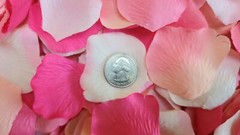 3000pcs Rose Petals Wedding Odorless Flowers -Petals – Favors