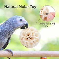 andwe Sola Bird Toy Balls – Natural Soft Chew & Shredding Foraging for Cockatiel