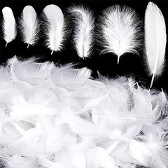 100Pcs White Goose Feathers – 3-5inches Natural White Feathers for DIY Crafts