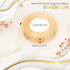 Champagne Gold Sheer Organza Gift Ribbon, 50 Yards *0.79 «Chiffon Tulle Mesh