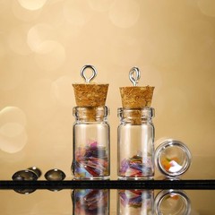 Yungyan 50 Pieces Small Mini Glass Bottles Jars with Cork Stoppers 2ml, Clear