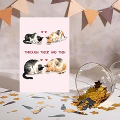 Funny Cat Anniversary Card for Him Her, Hilarious Valentines Day&Wedding Anni…