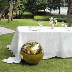 20 in Stainless Steel Globe Gazing Reflective MIRROR BALL Party Events Supplies