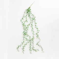 10 Green Artificial Weeping Willow Leaves Hanging Vines with Stems Party Events