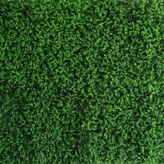 22 sq ft Green Artificial Mini Leaves UV Protected Wall Backdrop Panels Party