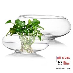 2 Pack Glass Vase Bowl, 6″/ 8″ Wide Mouth Flower Vase Round Terrarium, Glass
