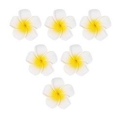 100Pcs White Foam Hawaiian Frangipani Artificial Plumeria Flower Petals 9547