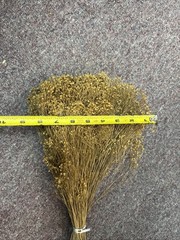 Dried Babys Breath (Dried Gypsophila) Natural Brown Color