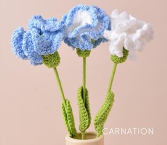 10Pcs Handwoven Carnation Flower,Knitted Carnation Flower Carnation(10colors)