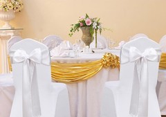 ZSJFMF Pack of 50 Satin White Chair Sashes Bows 7 X 108 Inch Universal