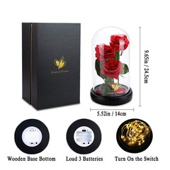 Valentines Day Gifts for Her,Beauty and The Beast Rose in Glass Classic Red