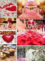 1200PCS Light Blue Artificial Rose Petals for Weddings Valentine Romantic Decor
