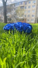 bouquet of blue roses from satin ribbons in a round black box