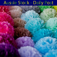 Pom Poms Tissue Paper Pompoms Wedding Baby Shower Birthday Party 6″-10″ 5pcs