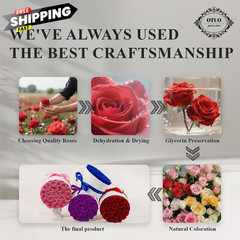 Otuo 27 Piece Preserved Roses in a Box – Forever Flowers for 27 Roses, Red