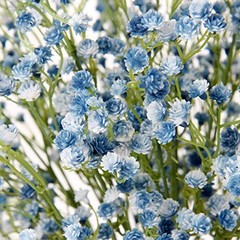 10 Pcs Baby’s Breath Artificial Flowers Bulk 3 Branches Faux Baby Breath Blue