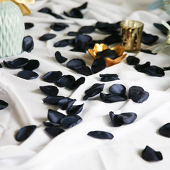 Navy Blue Rose Petals,Flower Petals,Silk Rose Petals Scatter Petals for Weddi…
