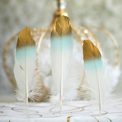 60 MINT GREEN WHITE with Metallic Gold Tip Natural Goose Feathers Decorations