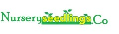 Wedding Favors (45) Evergreen Pine Starter Seedlings Bundle DIY Free Shipping