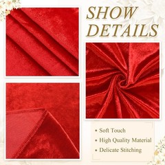 FANPROMS Red Carpet Runner for Party 4FTx20FT Aisle Runner for Wedding Velvet…