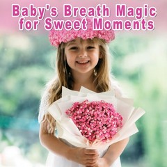 9000+ Bloom Pink Dried Babys Breath Flowers 150 Stems – Bulk Gypsophila